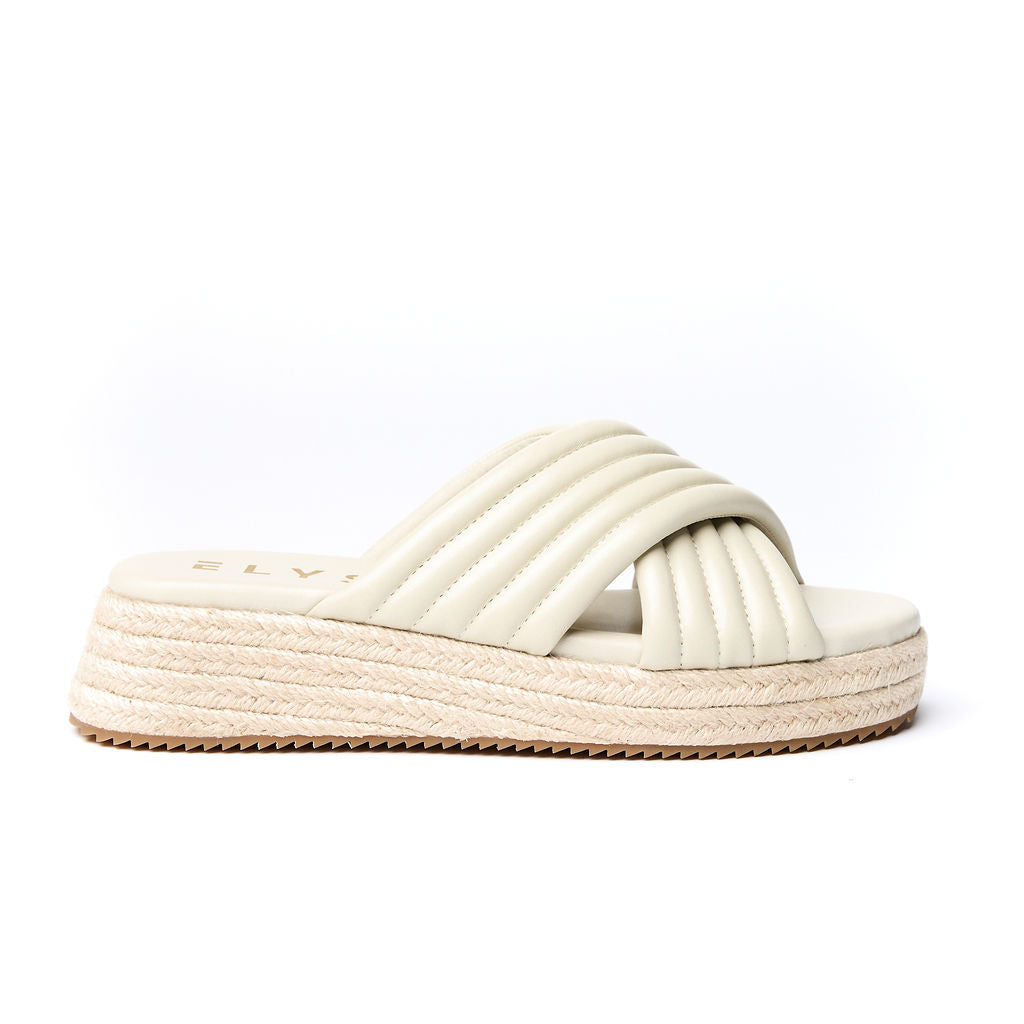 BONDI Bone