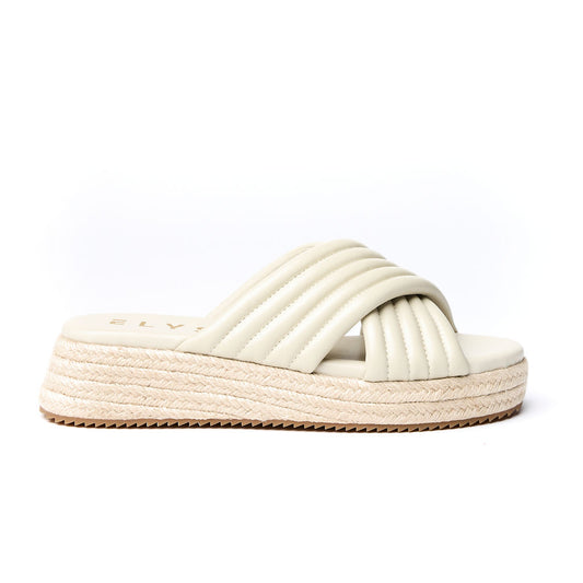 BONDI Bone