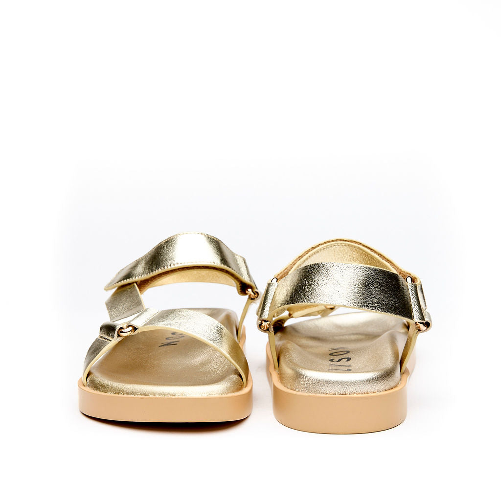 EXPLORE Gold