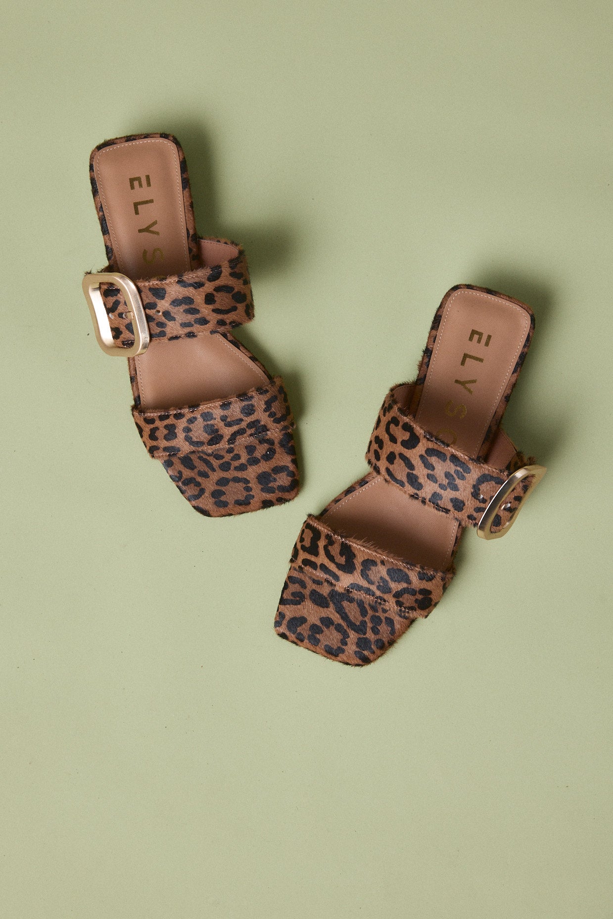 INDEPENDENCE Leopard