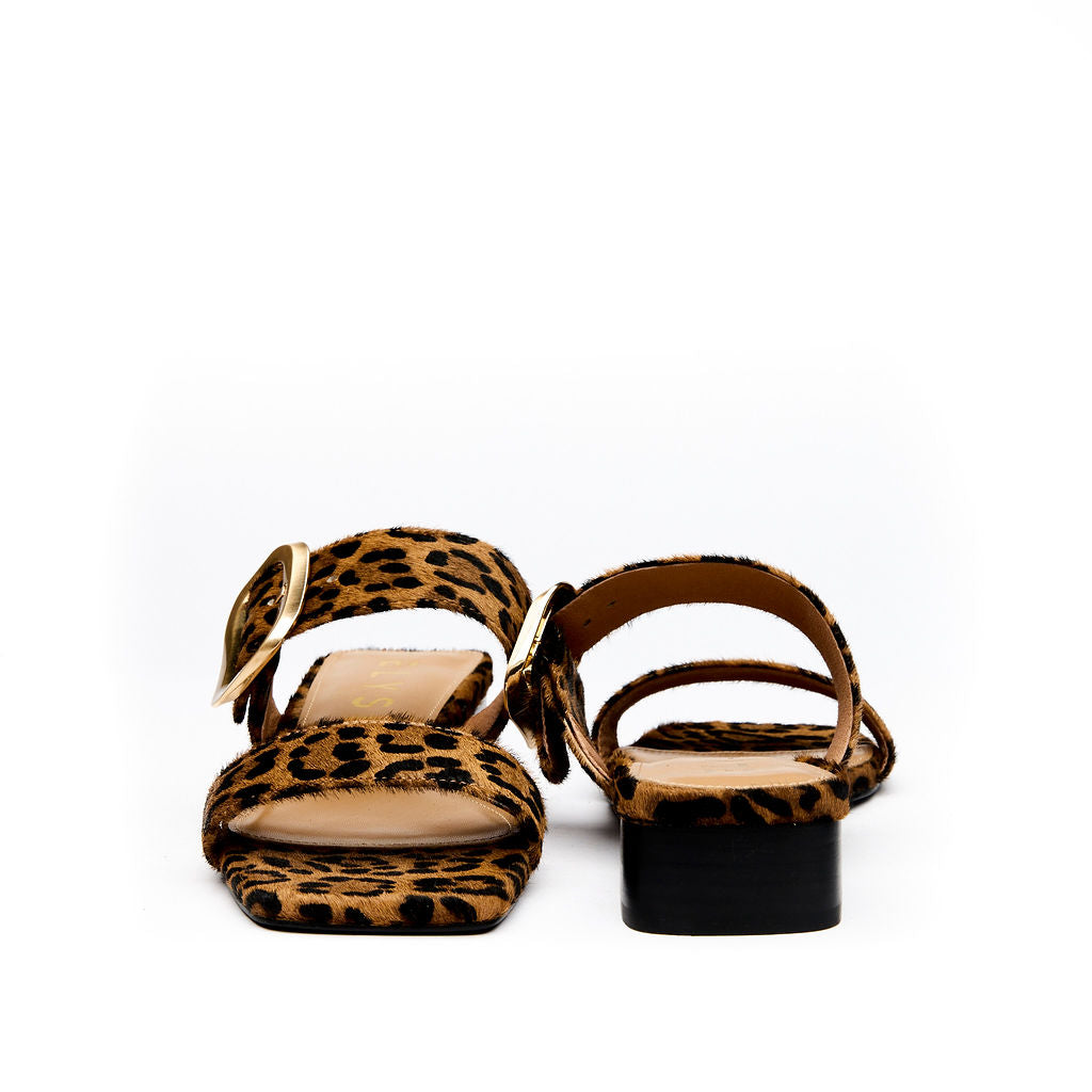 INDEPENDENCE Leopard