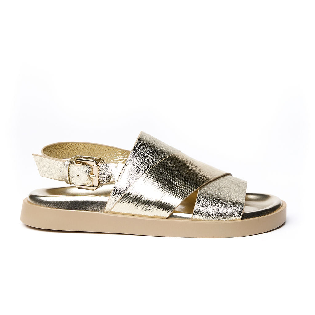 MAYA Gold