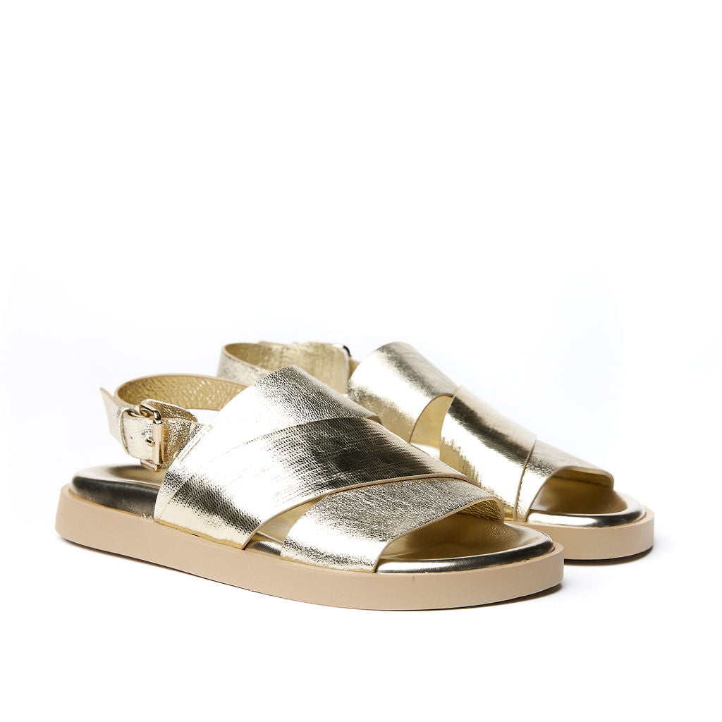 MAYA Gold