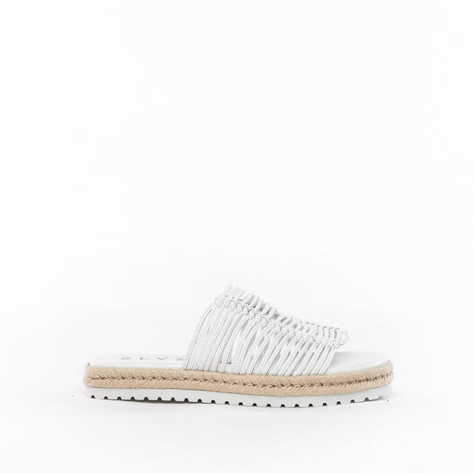 SARDINIA White